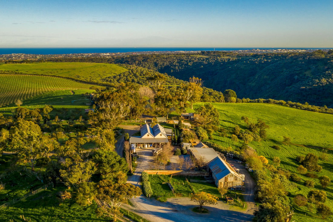 Aerial view of Samuel's Gorge estate 